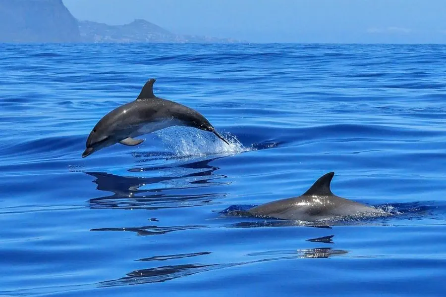 Open Sea — Okurcalar Private Yacht Tour route