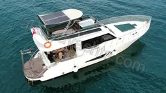 Free Lion nav photo 1