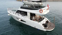 Free Lion nav photo 5